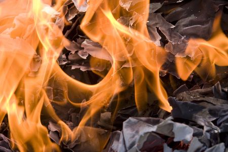 some papers burns in a big fireの写真素材
