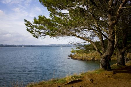 landscape near the sea in brittanyの写真素材