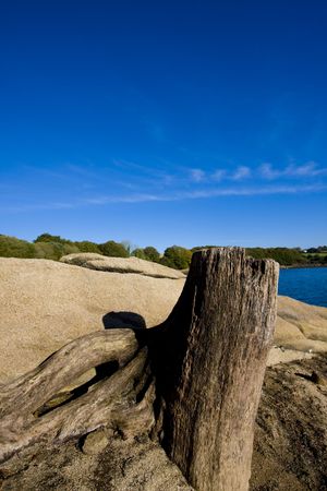 view around a lake in brittanyの写真素材