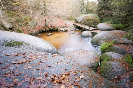 river in a forest during autumnの写真素材