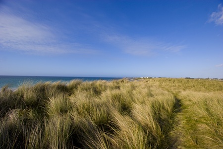 view of coastline in brittany