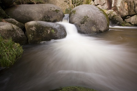 view of a river in forestの写真素材
