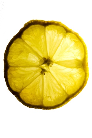 citrus slice in macro, with transparencyの写真素材