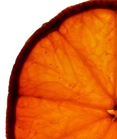 slice of orange in macro, with transapencyの写真素材