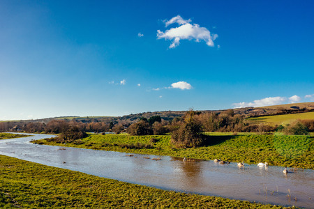 British countryside rive with swans in a bright sunny dayの写真素材