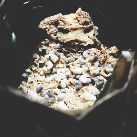 Steamed subterranean ants eggの写真素材