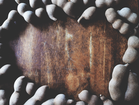 Tamarindの写真素材