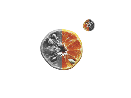 Grey orange on white isolatedの写真素材