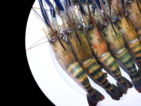 Fresh prawn on black isolated