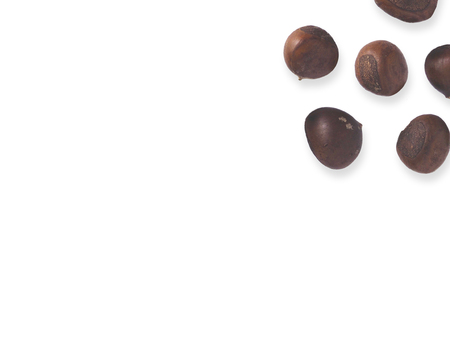 This is a chestnut  isolatedの写真素材