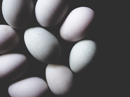 This is duck egg in black background,  soft toneの写真素材