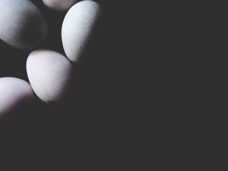 This is duck egg in black background,  soft toneの写真素材
