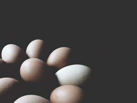 This is chicken egg in black background,  soft toneの写真素材