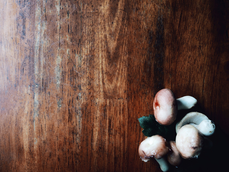 This is wild mushrooms on the  woodenの写真素材