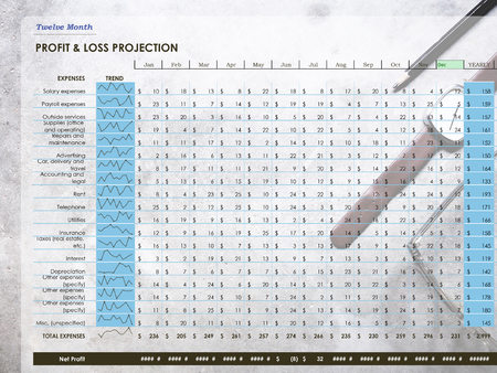 Twelve Month Profit & loss projection on workplace background. Profit  loss conceptの写真素材