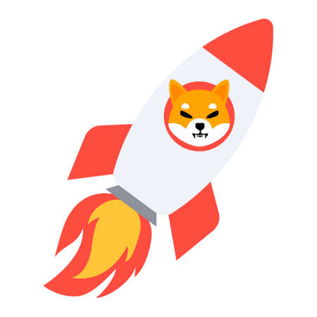Isolated Shiba dog on a rocket going to the moon. Viral crypto currency vector art on white backgroundのイラスト素材