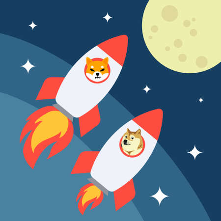 Two dogs inside rocket going to the moon. Shiba and doge meme crypto coin on bullish trendのイラスト素材