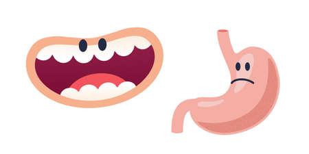 mouth and stomach organ with faces. isolated flat vector illustration on white backgroundのイラスト素材