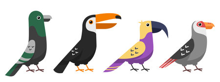 Sets of bird with different species and color. Cute toucan, pigeon, parrot, dove bird vector illustration.のイラスト素材