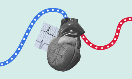 Blood circulation through heart collage illustration. Isolated human heart with heart rate reading. Oxygen flowing through blood vessel.の写真素材