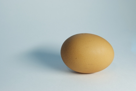 Brown egg shows up with white background  の写真素材