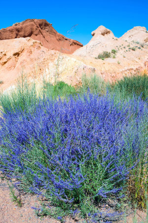 Spectacular Mountain landscape with flowering bushes in the foreground, Kyrgyzstan