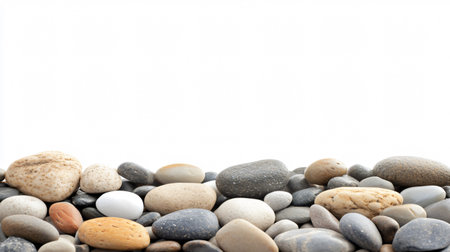 Bouquet of purple and white tulips isolated on white backgroundの素材