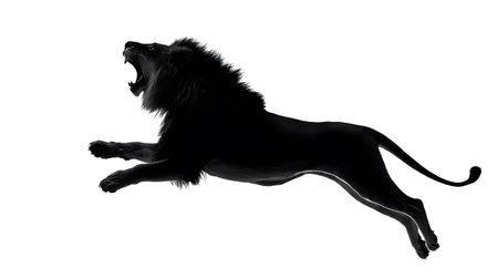 Majestic Adult Male Lion Jumping with Open Mouthの素材