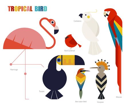 tropical bird set. flat design style minimal vector illustration.のイラスト素材
