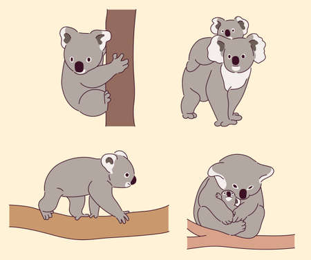A set of koala characters in various poses.のイラスト素材