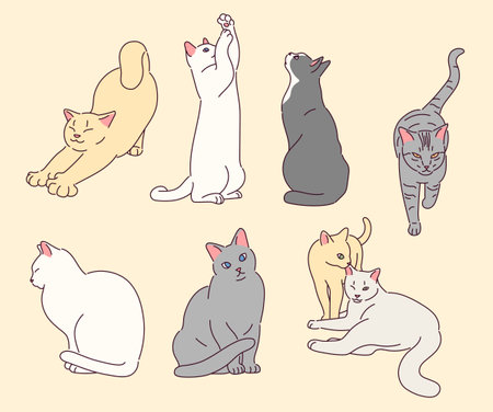 Collection of cute cat characters.のイラスト素材