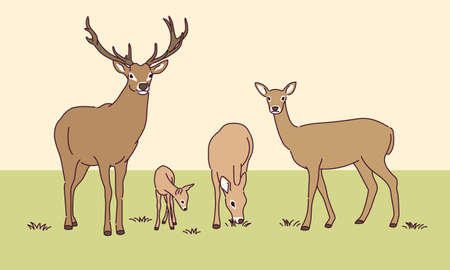 Cute deer family illustration.のイラスト素材