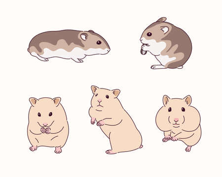 Cute hamster illustrationのイラスト素材