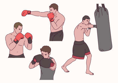 Boxer's postures.のイラスト素材