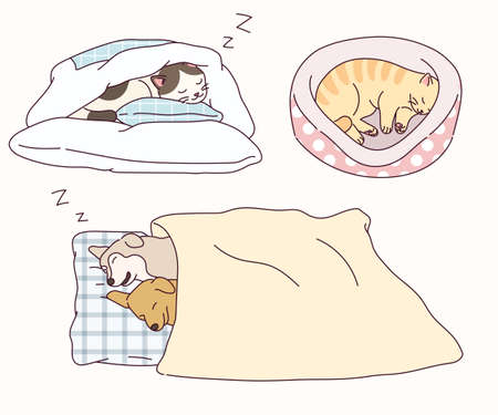 Dogs and cats sleep in cute poses.のイラスト素材