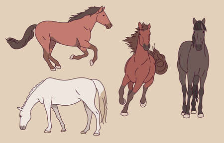 The movements of a running horse.のイラスト素材