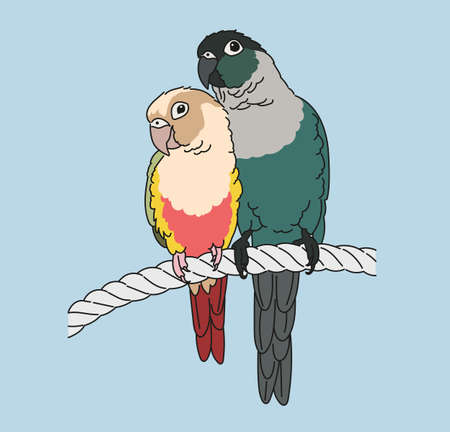 Two parrots are sitting affectionately. hand drawn style vector design illustrations.のイラスト素材