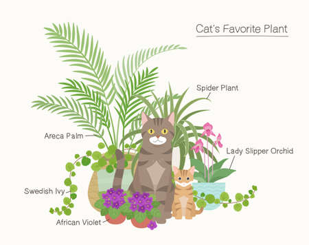 Cute cats and plants that cats love. flat design style minimal vector illustration.のイラスト素材