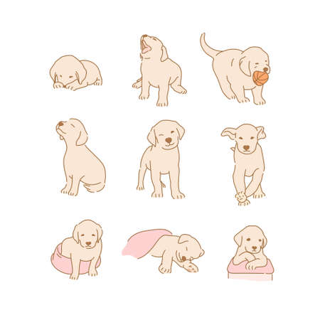 Cute Golden Retriever Puppy Characters Collection. hand drawn style vector design illustrations.のイラスト素材