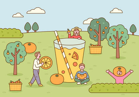 Jeju Island, Korea. At the tangerine farm, people are making huge juices. flat design style vector illustration.のイラスト素材