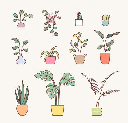 Home decoration flowerpot collection. flat design style vector illustration.のイラスト素材