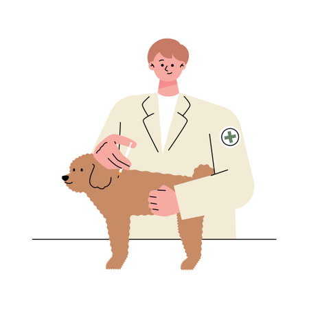 A male veterinarian is giving an injection to a sick dog. flat vector illustration.のイラスト素材