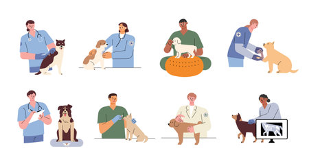 Dogs are being treated by a veterinarian in a veterinary hospital. flat vector illustration.のイラスト素材