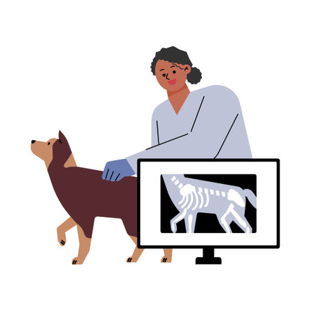 A female veterinarian is checking an x-ray of a dog. flat vector illustration.のイラスト素材