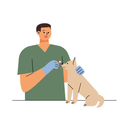 A male veterinarian is giving medicine to a sick dog. flat vector illustration.のイラスト素材