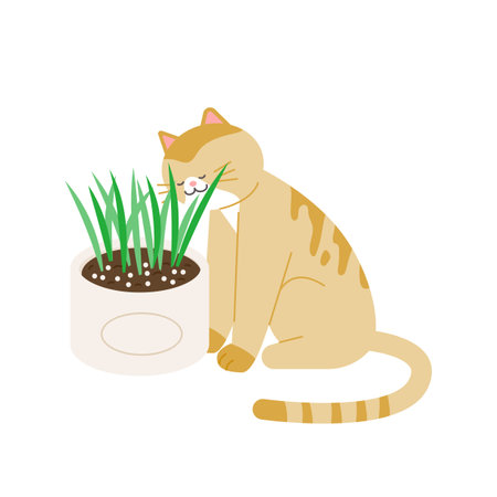 cat supplies. Flowerpot for cats. Catgrass oats.のイラスト素材