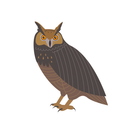 An owl looking straight ahead. Realistic handdrawn style illustration..のイラスト素材