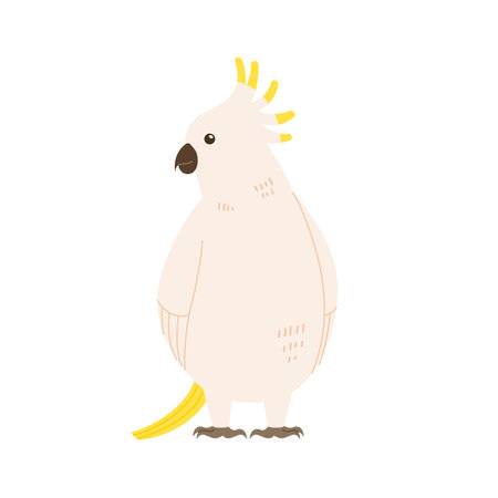 white cockatiel. simple hand drawn style bird illustrationのイラスト素材