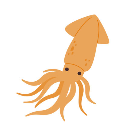 Squid drawing. flat vector illustration.のイラスト素材