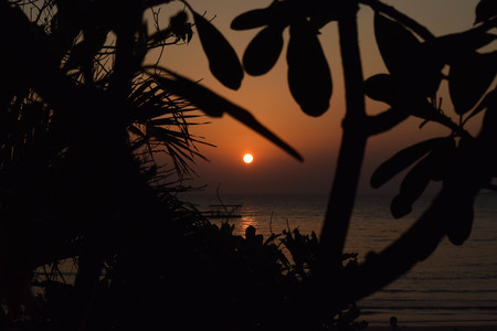 sunset at the beachの写真素材